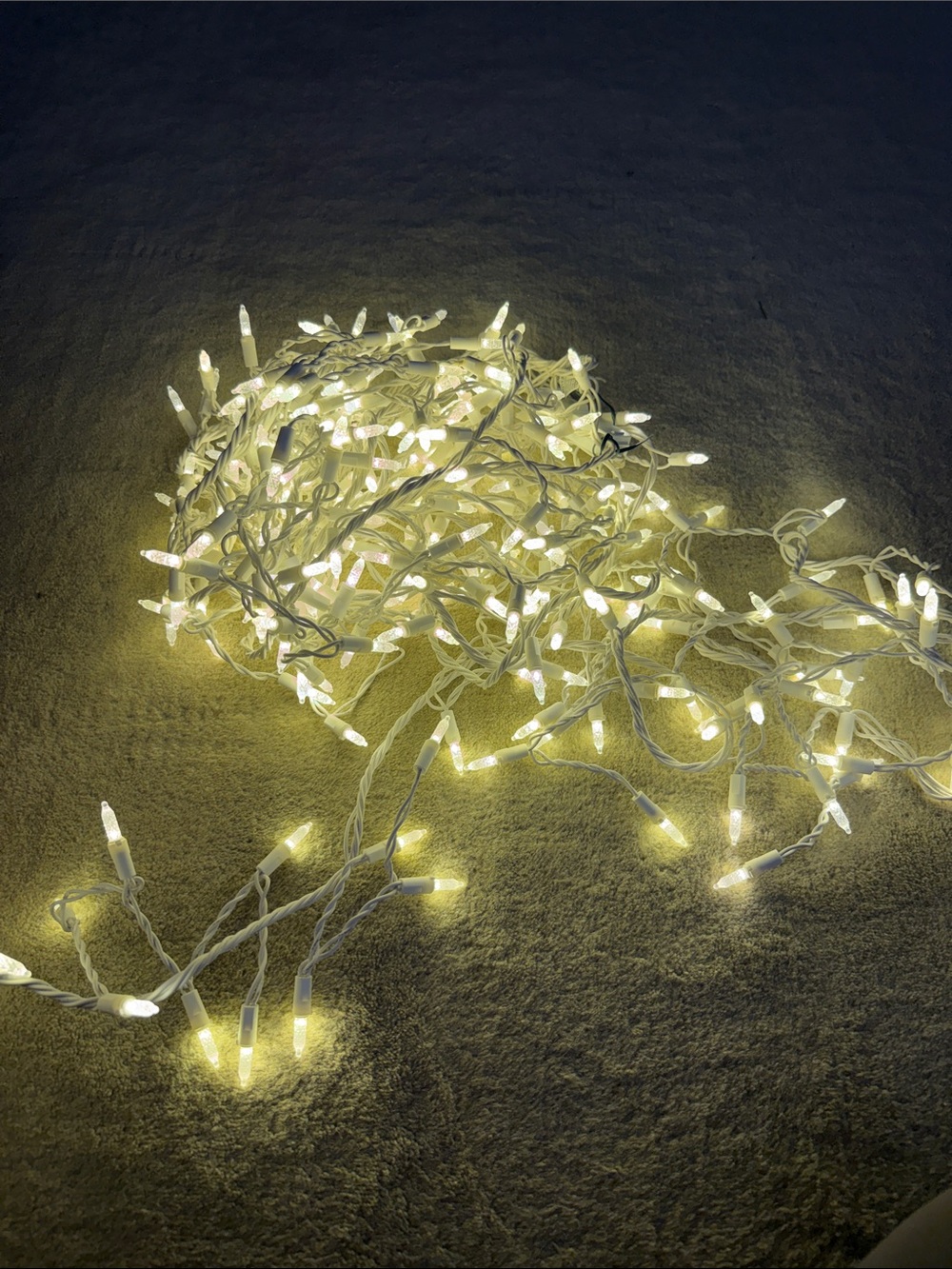Holiday Lights